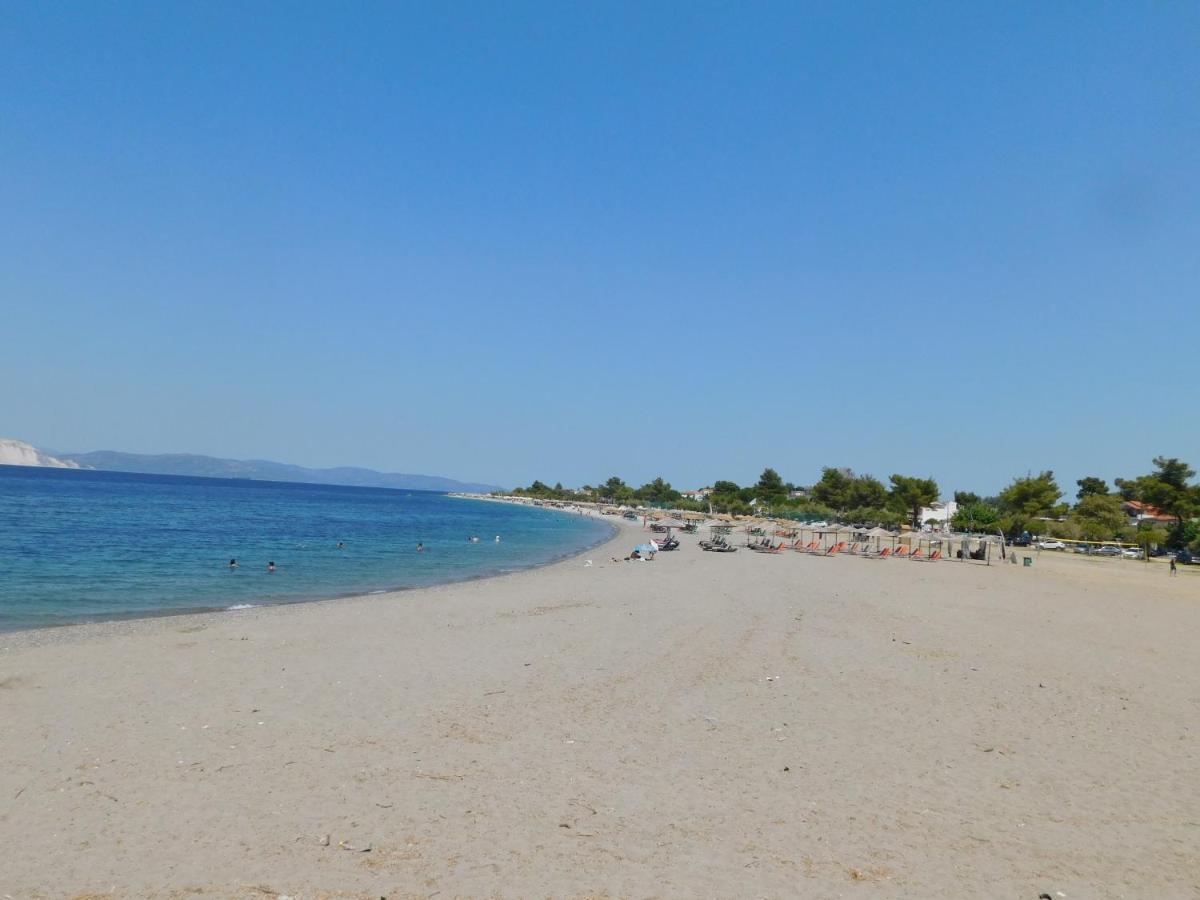 Apartment κωνσταντίνος έλενα *