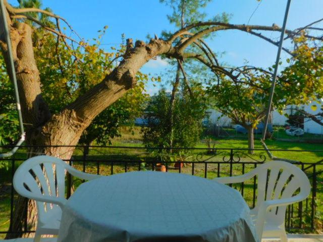 Apartment κωνσταντίνος έλενα Pefki (Evia)