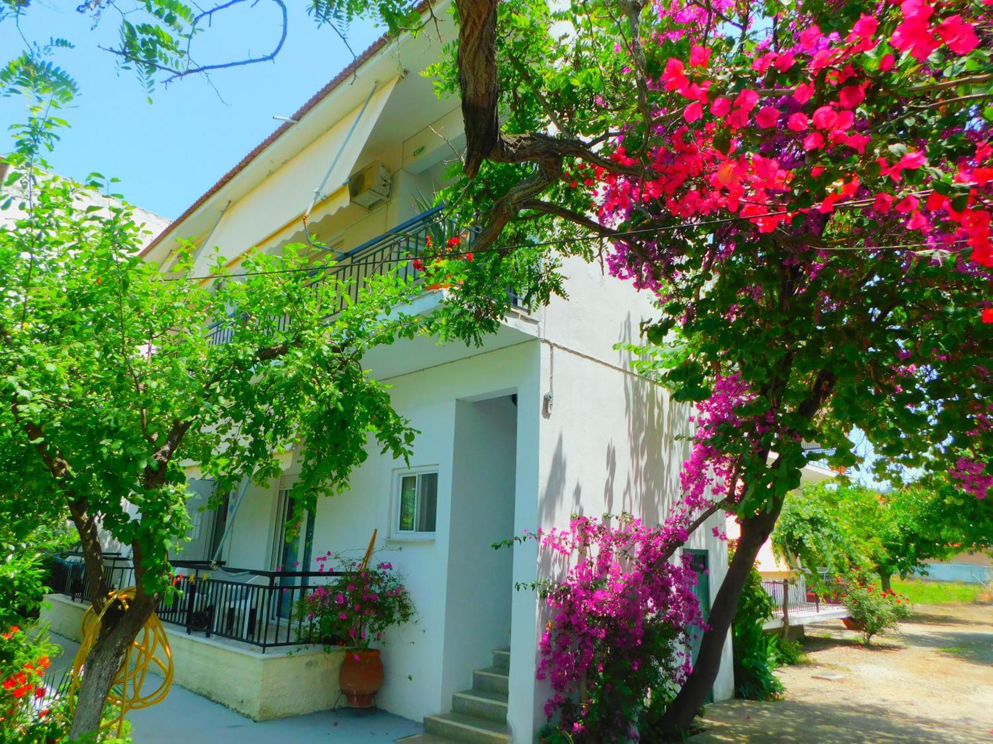 Apartment κωνσταντίνος έλενα Pefki (Evia)